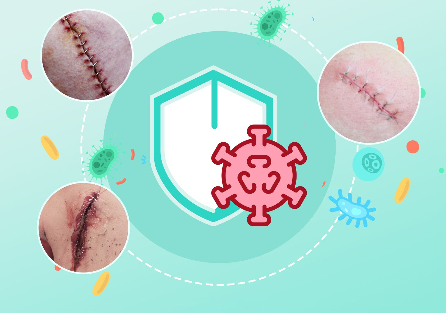 Image Title Alt Image