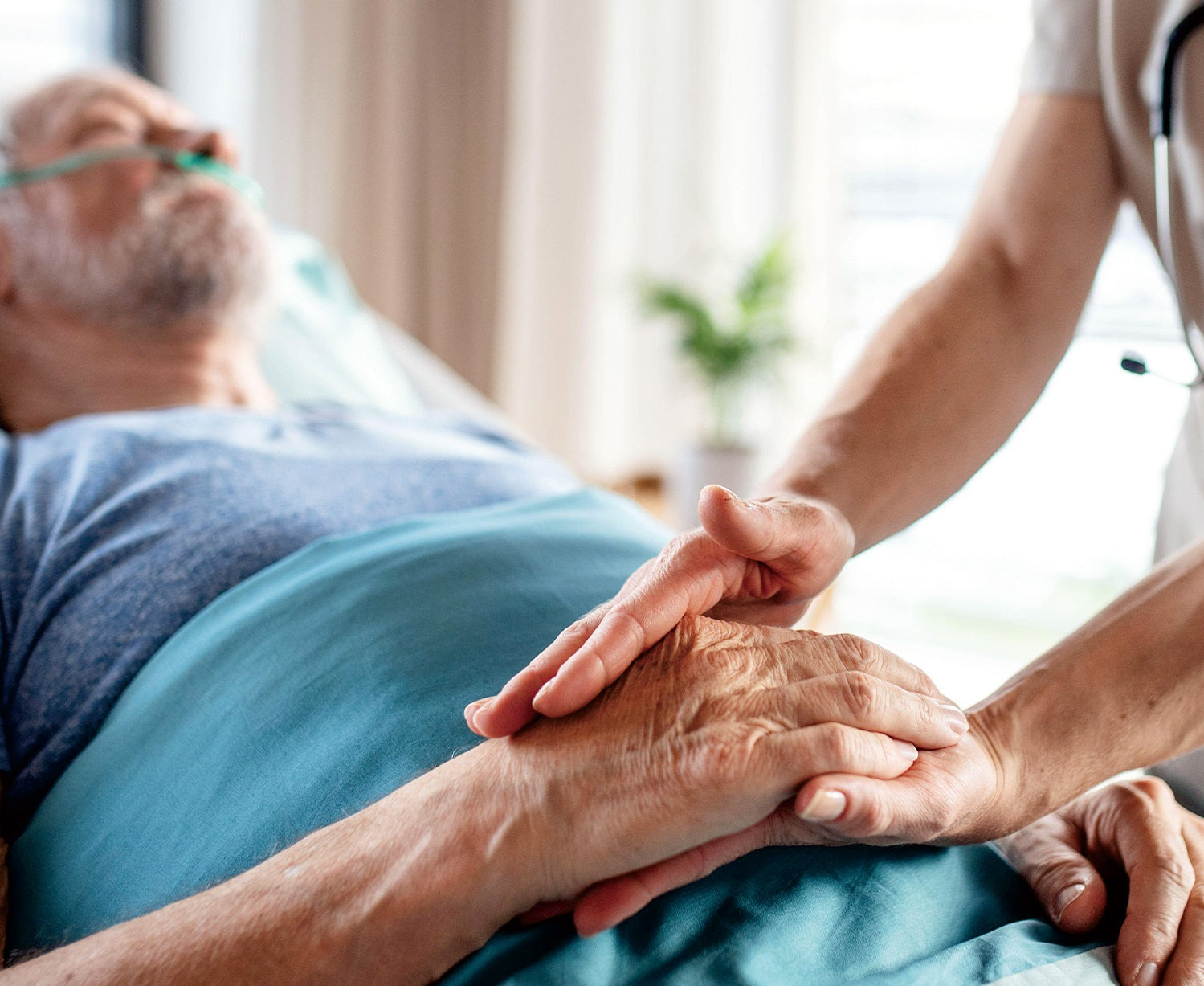 Image Title Alt Image