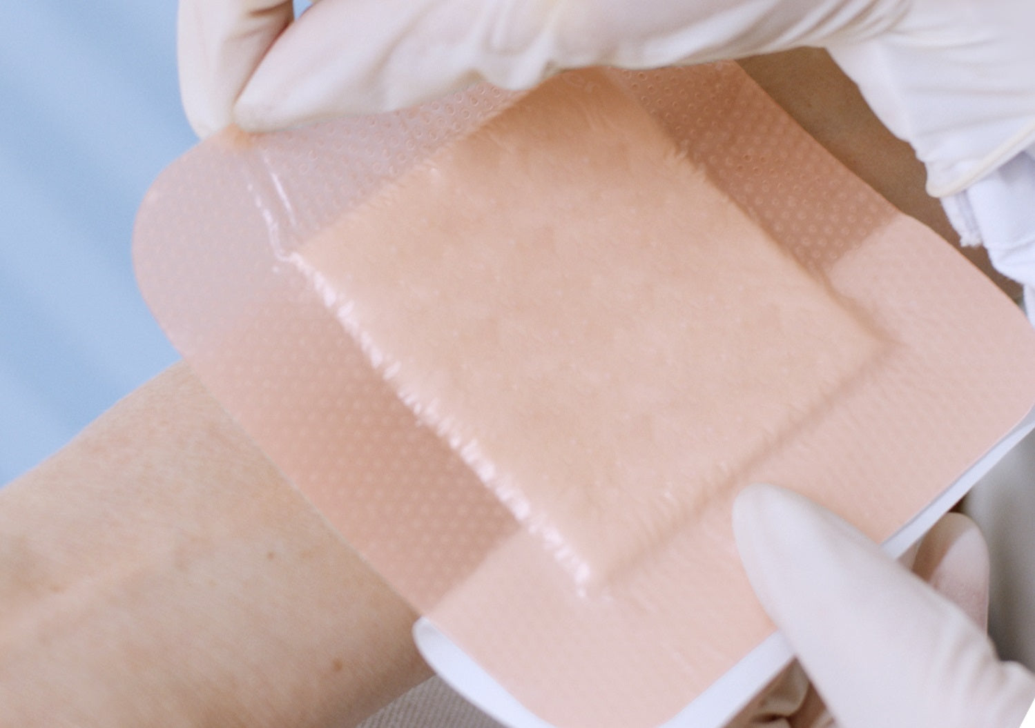 Image Title Alt Image