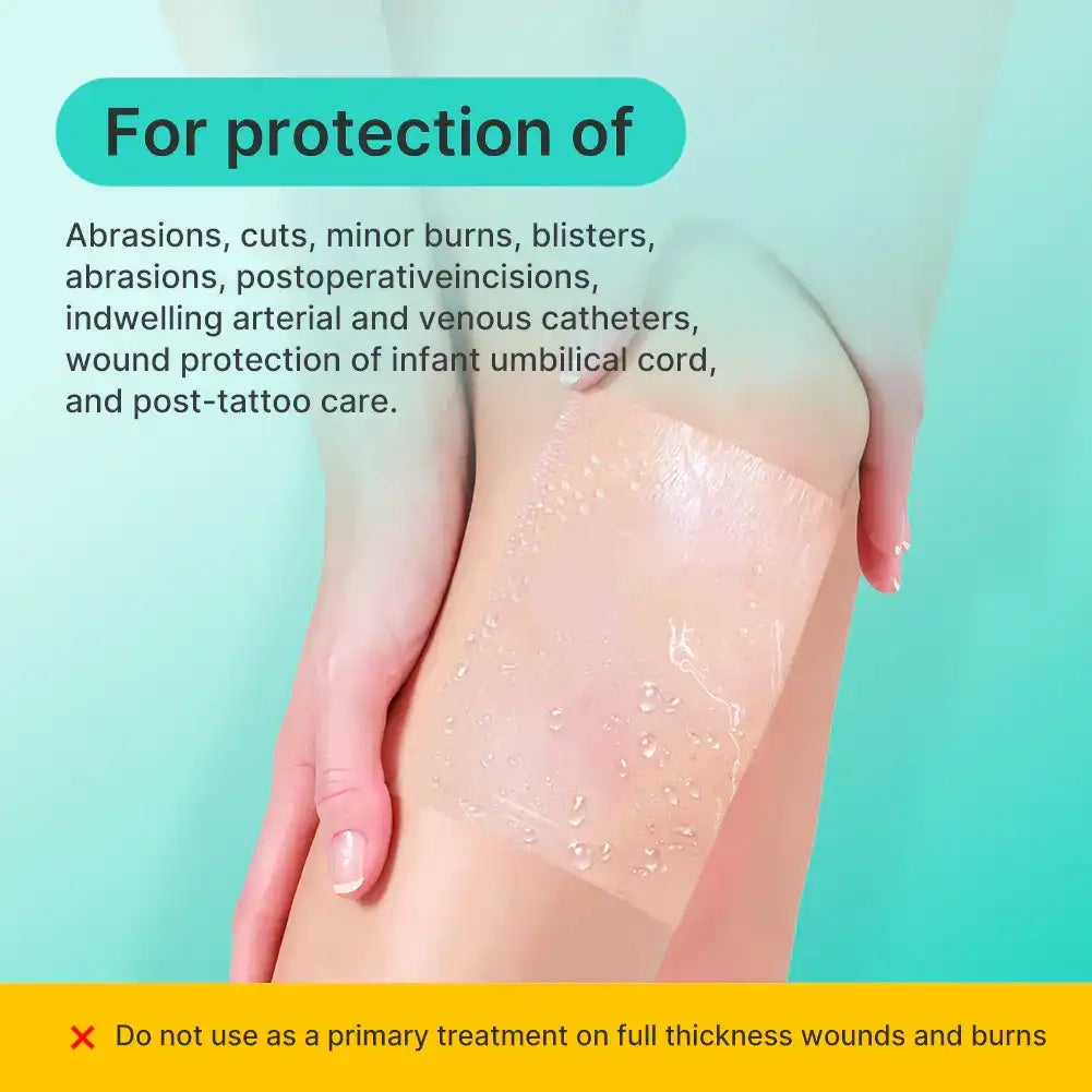 Dimora Transparent Film Dressing 4 Dimora Transparent Film Dressing 4