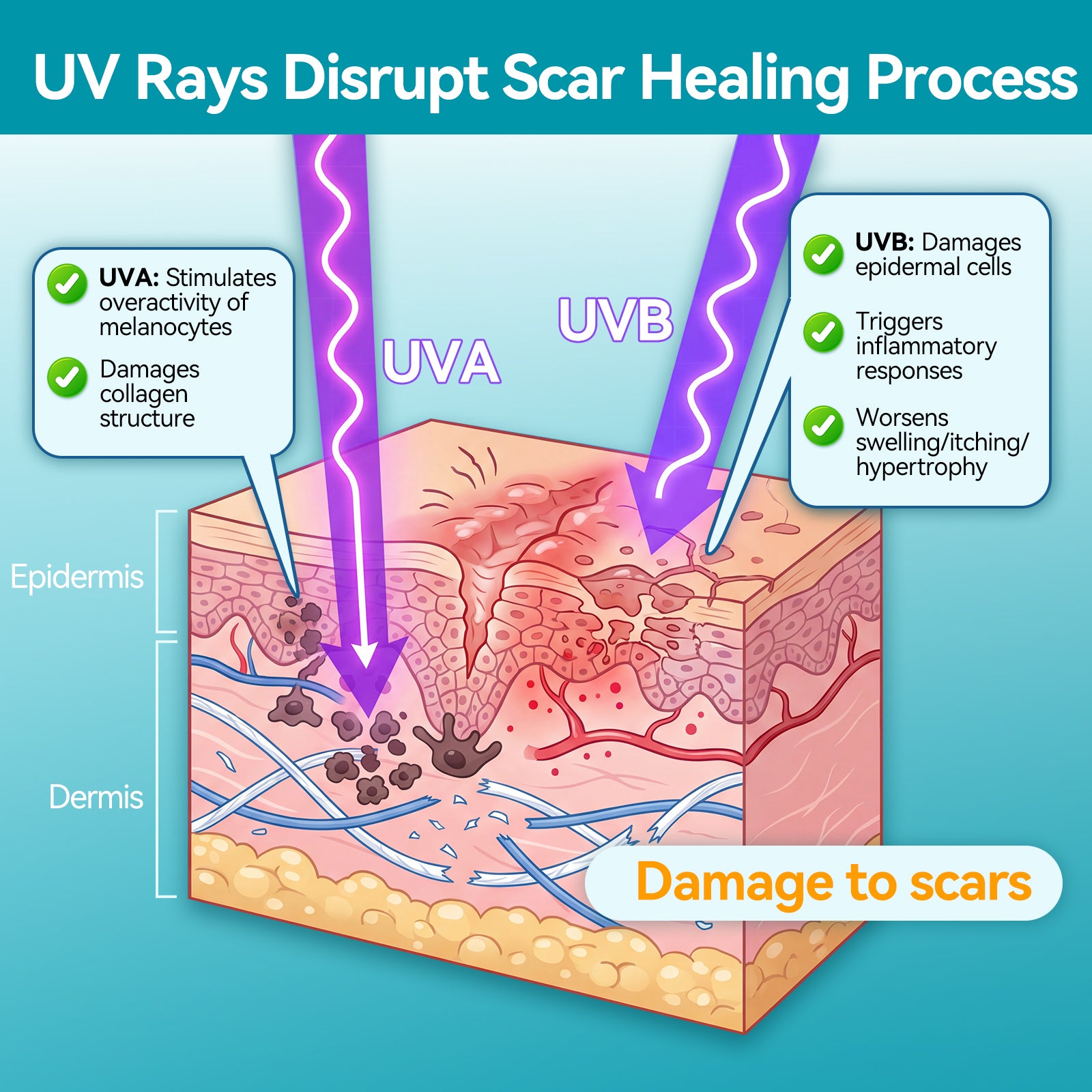 Dimora UPF50+ Silicone Scar Sheets with UV Protection for Surgical, C-Section & Keloid Scars,