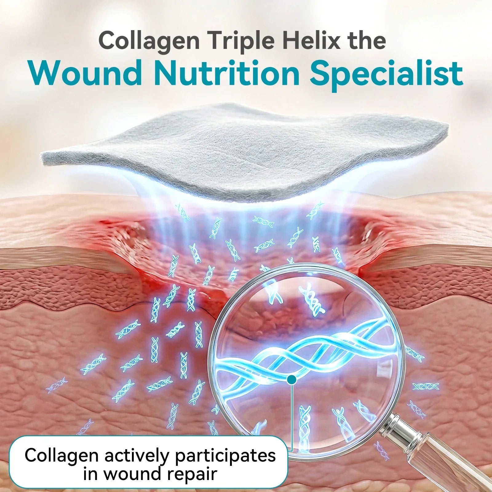 Collagen wound dressing aiding skin repair with magnified collagen triple helix structure and healing process.